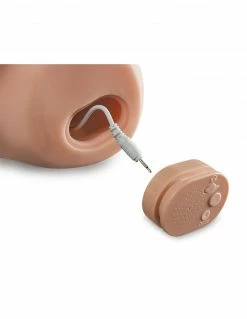 PDX Male Dirty Talk Fuck My Cock Rechargeable Vibrators