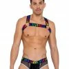Roma Men's Pride Fishnet LOVE Briefs Men's Underwear