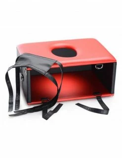 Master Series Queening Chair Bondage