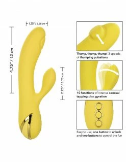 Vibrators California Dreaming San Diego Seduction