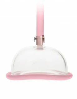 Clamps & Suction Pumped Rose Gold Pussy Pump