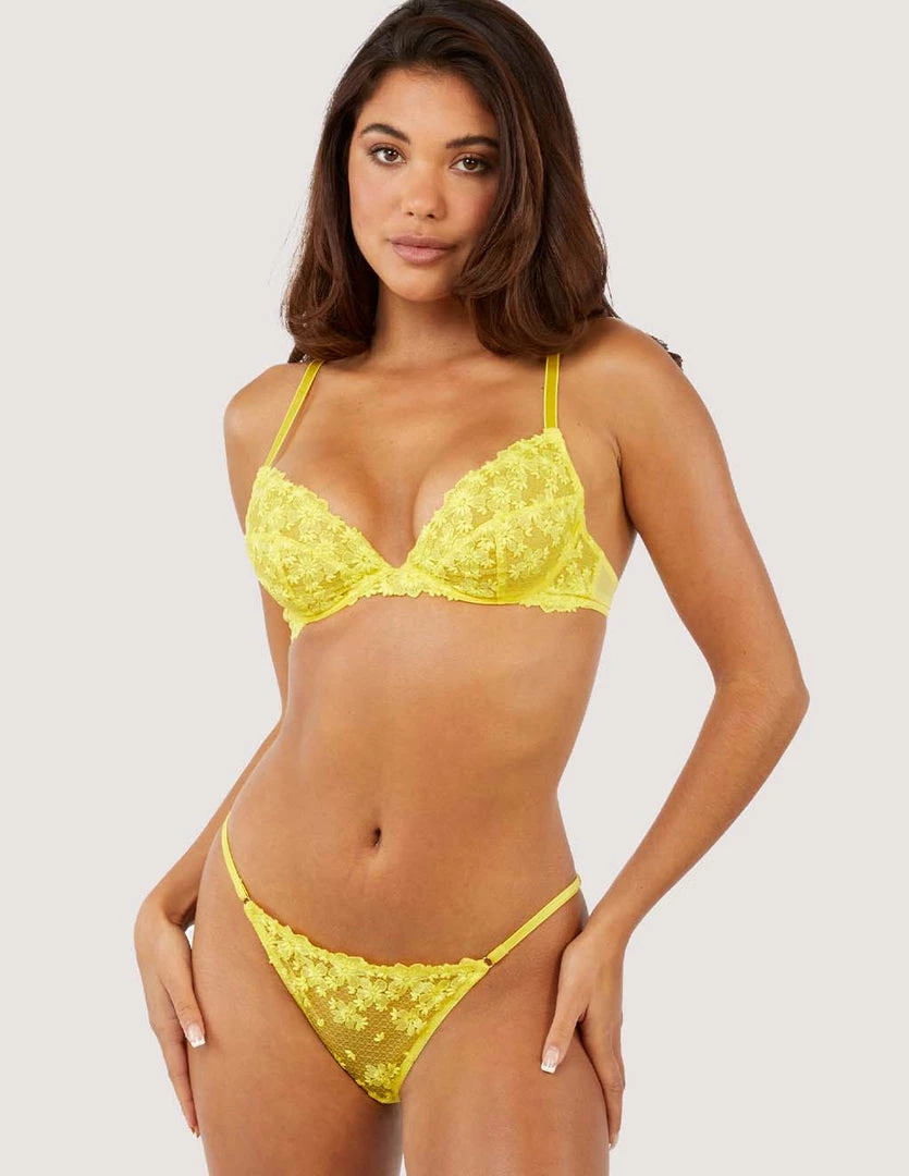 Playful Promises Audre Brief Lingerie 3 Playful Promises Audre Brief Lingerie