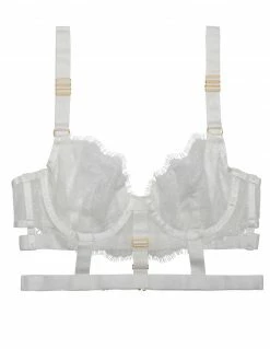 HUSTLER® Lace Cage Bra Lingerie
