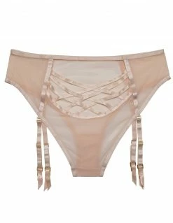 HUSTLER® Mesh Gartered Panty Lingerie