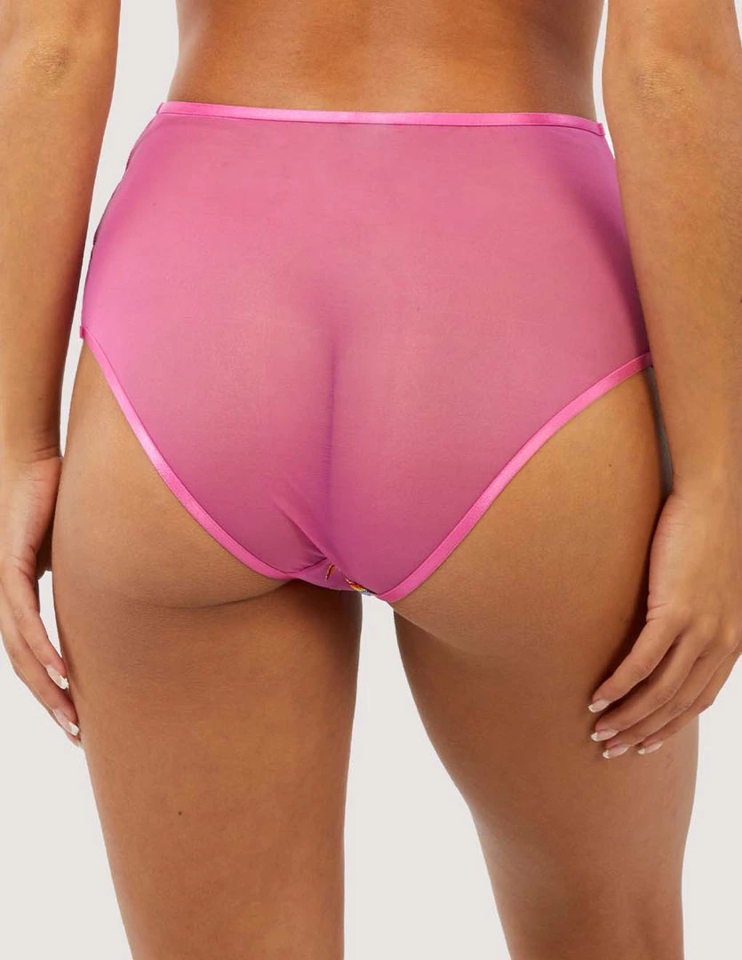 Lingerie Playful Promises Coccinelle High Waisted Brief 2 Lingerie Playful Promises Coccinelle High Waisted Brief