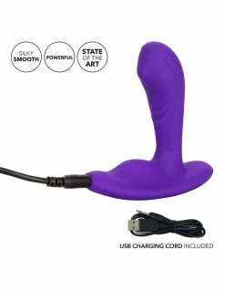 CalExotics CalEx Remote Pinpoint Pleaser