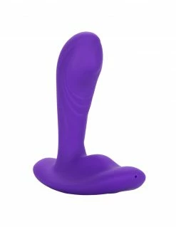 CalExotics CalEx Remote Pinpoint Pleaser