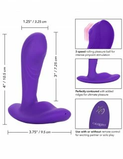 CalExotics CalEx Remote Pinpoint Pleaser