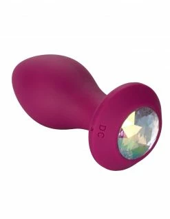 Power Gem 10 Function Crystal Anal Probe