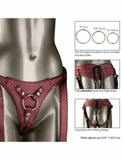 Her Royal Harness Regal Queen