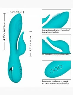 California Dreaming Santa Monica Starlet