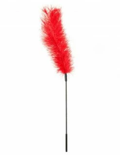 Bondage Sportsheets Ostrich Feather Tickler