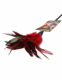 Sex & Mischief Starburst Feather